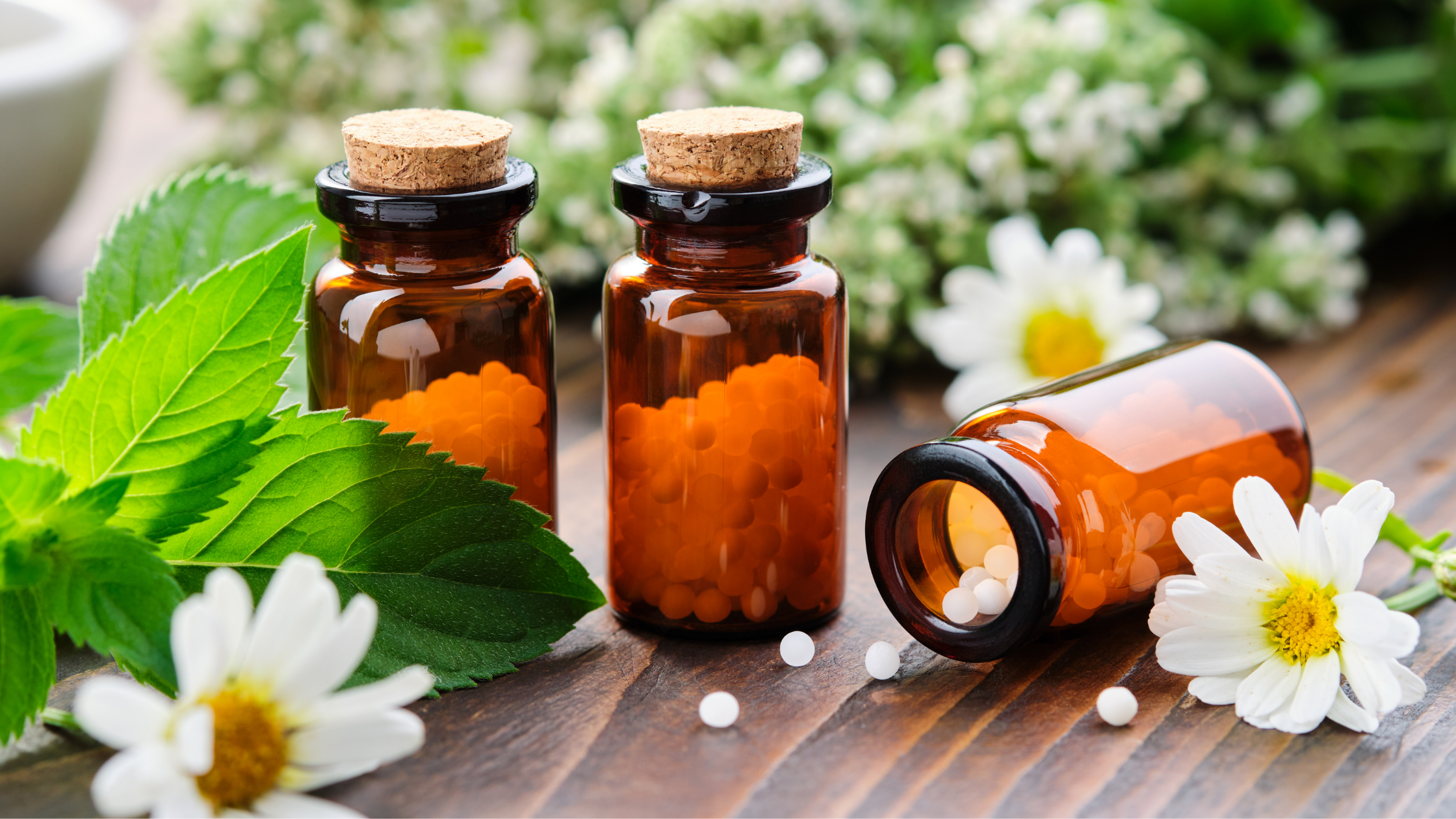 Homeopathy: A Gentle Path to Healing Both Chronic and Acute Illnesses