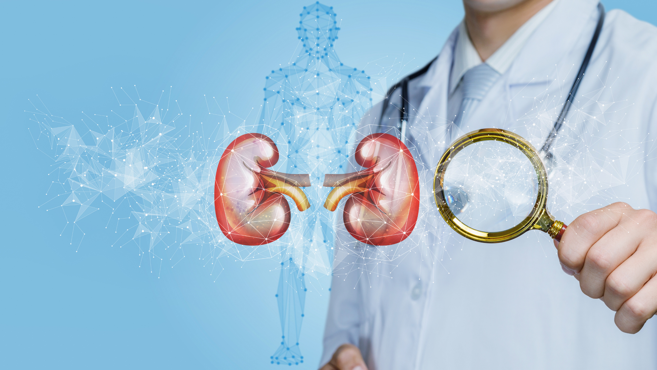 The Connection Between Kidney Health and Overall Well-being!