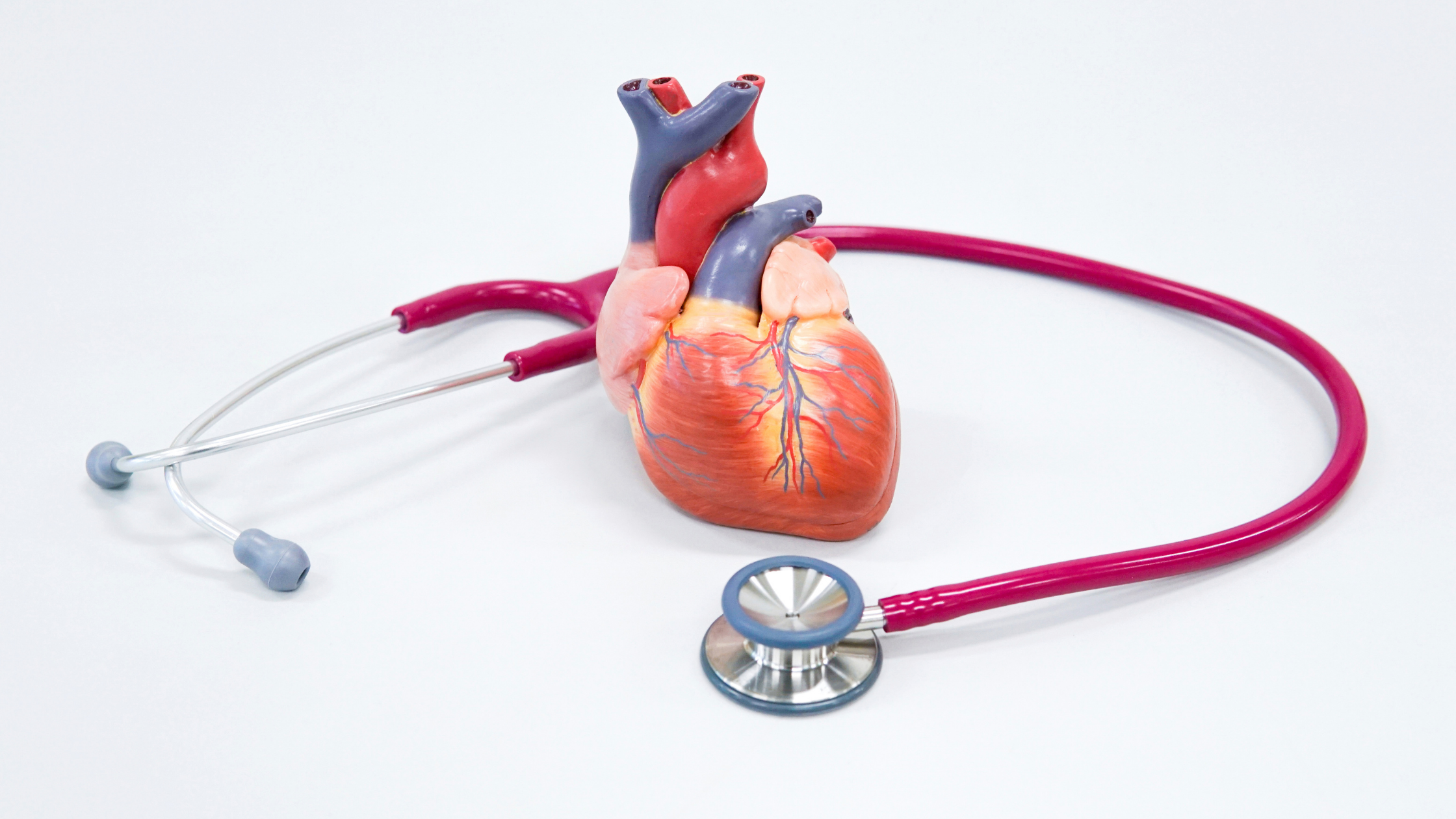 The Importance of Heart Health Check-ups: What You Need to Know