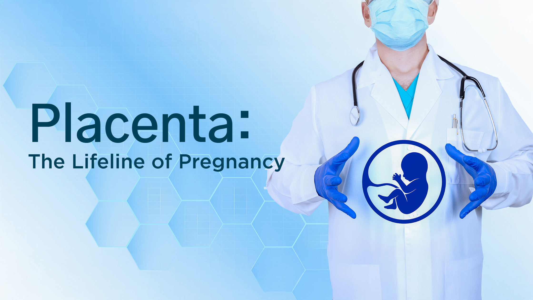 Placenta: The Lifeline of Pregnancy